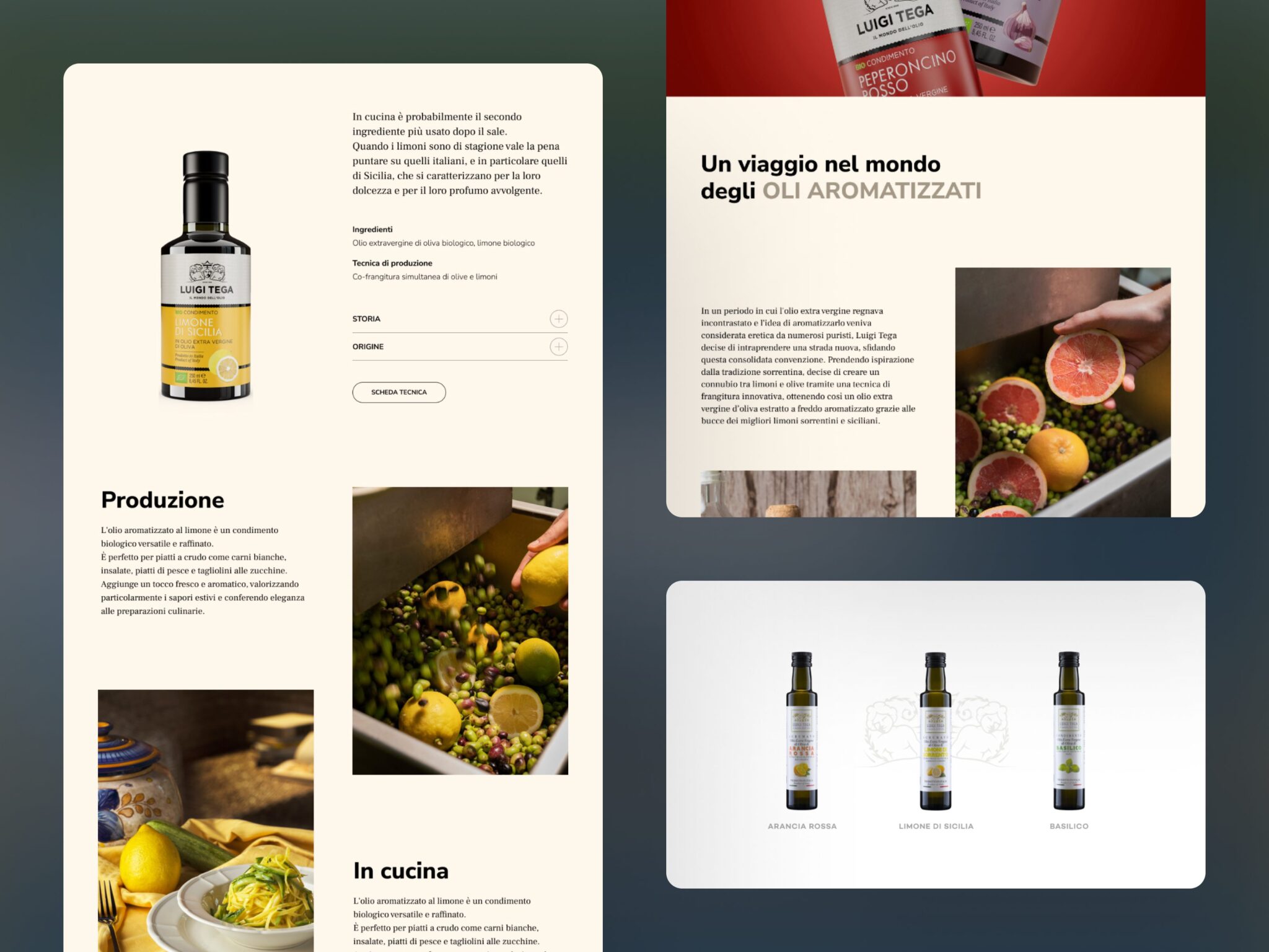 Olio Luigi Tega - ecommerce