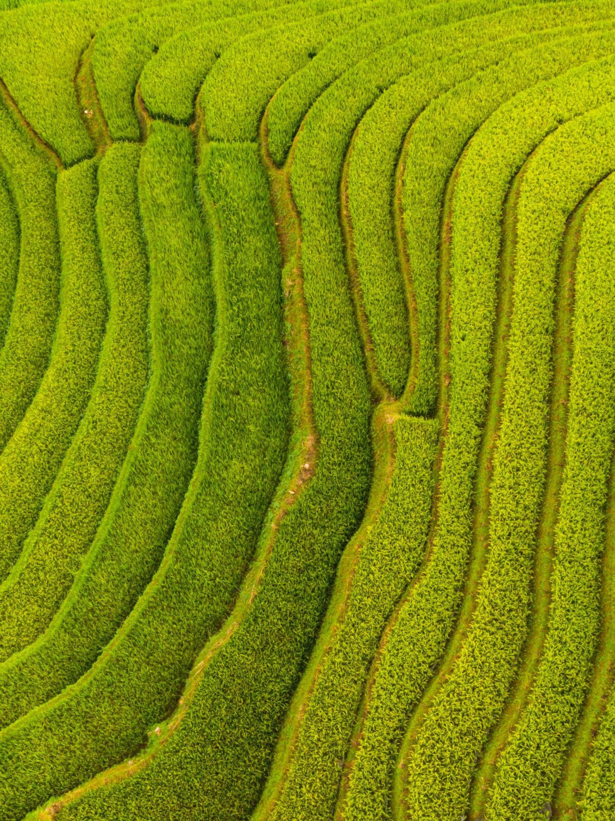 Quando un sito corporate deve gestire 1.000 prodotti senza perdere l’identità