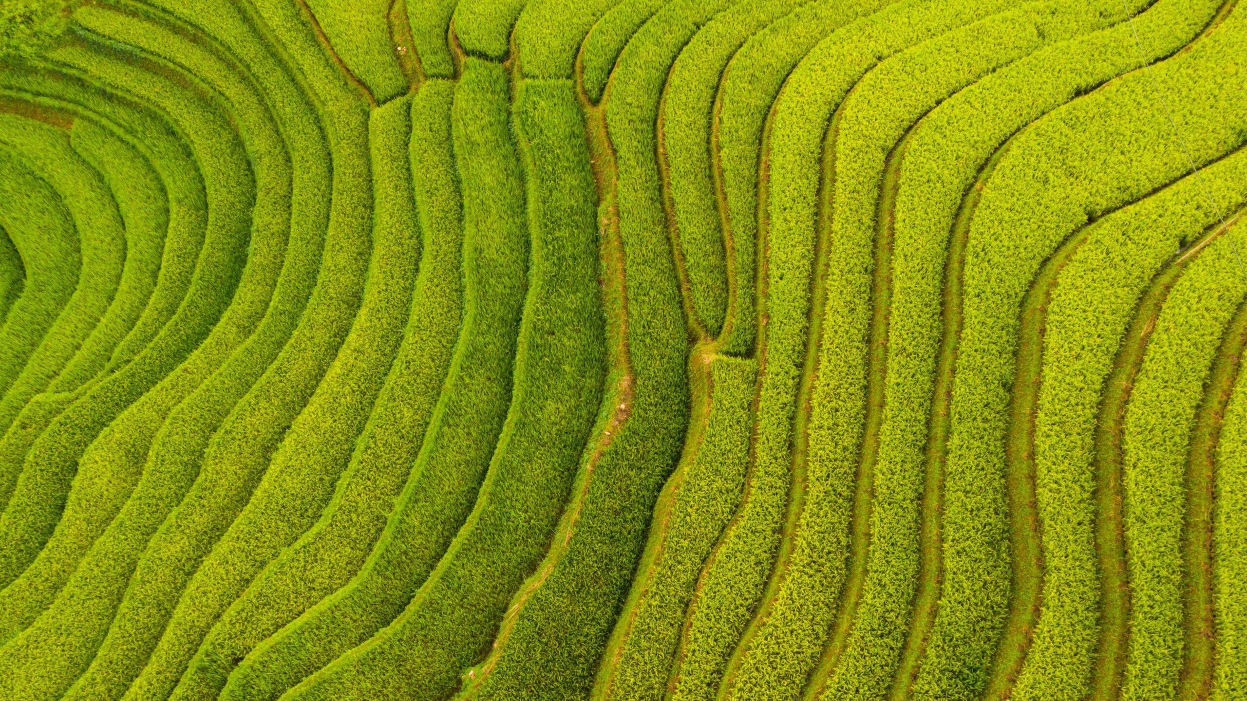 Quando un sito corporate deve gestire 1.000 prodotti senza perdere l’identità