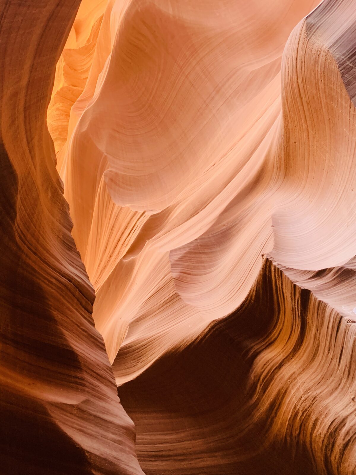 Dall’ERP all’interfaccia: rendere usabile la complessità industriale