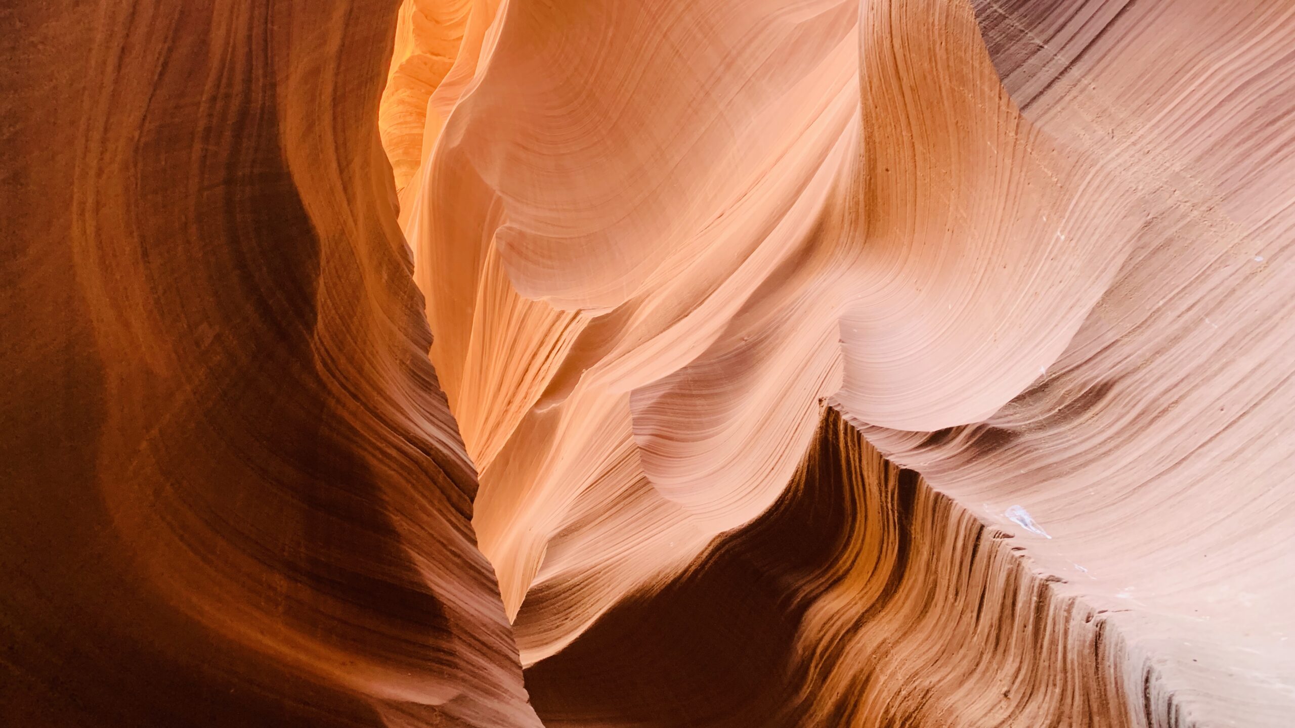 Dall’ERP all’interfaccia: rendere usabile la complessità industriale