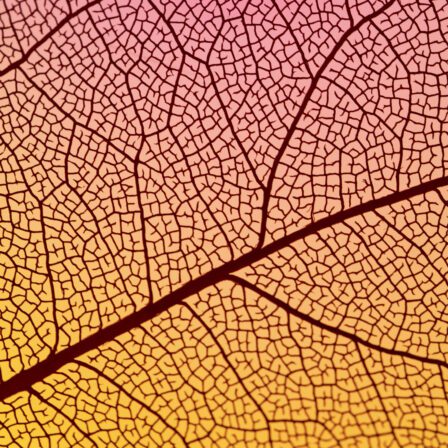 SEO per chi non vende online: quando il posizionamento genera contatti, non carrelli