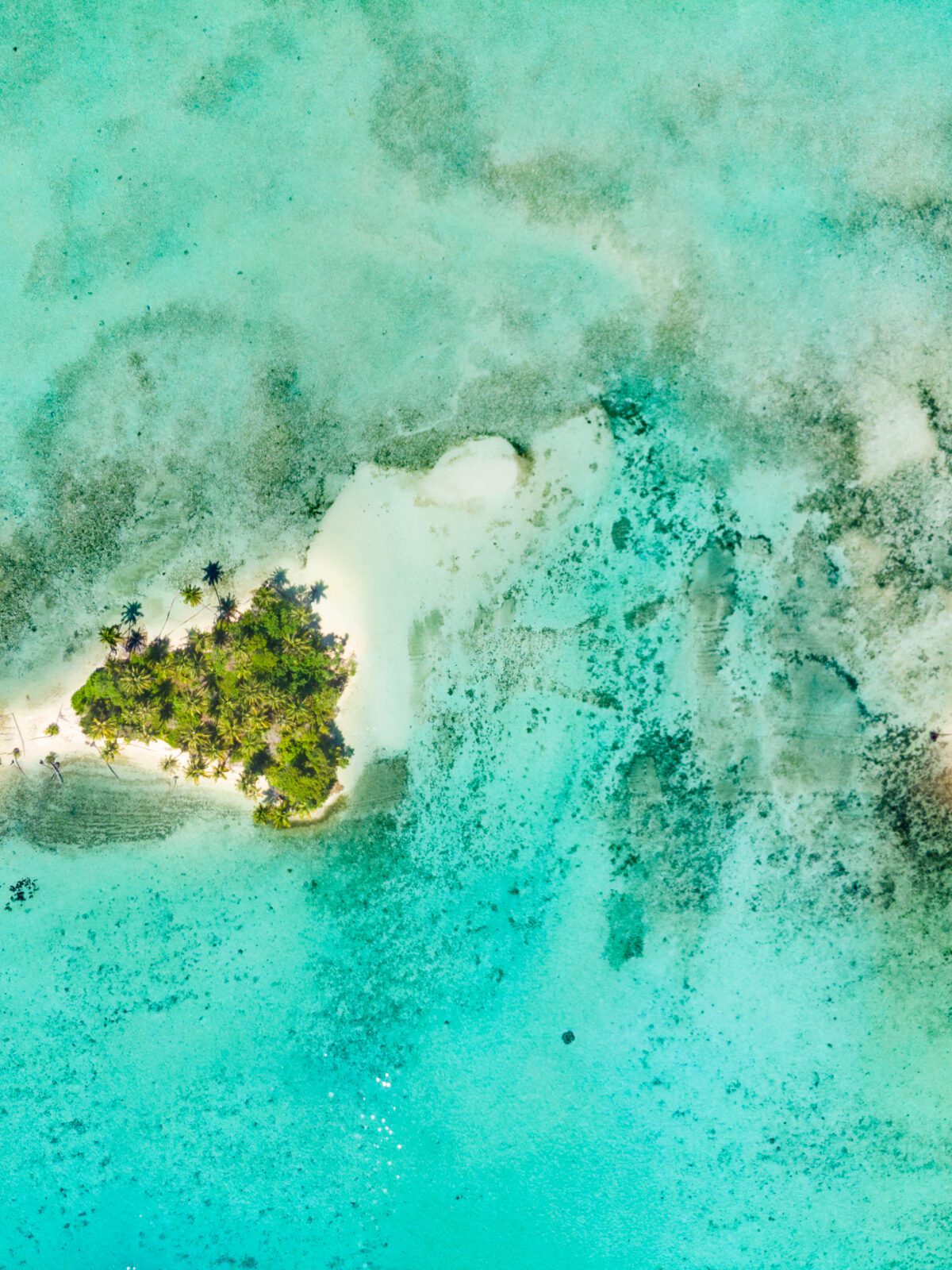 GEO Optimization: farsi citare da ChatGPT, Perplexity e Google AI Overview