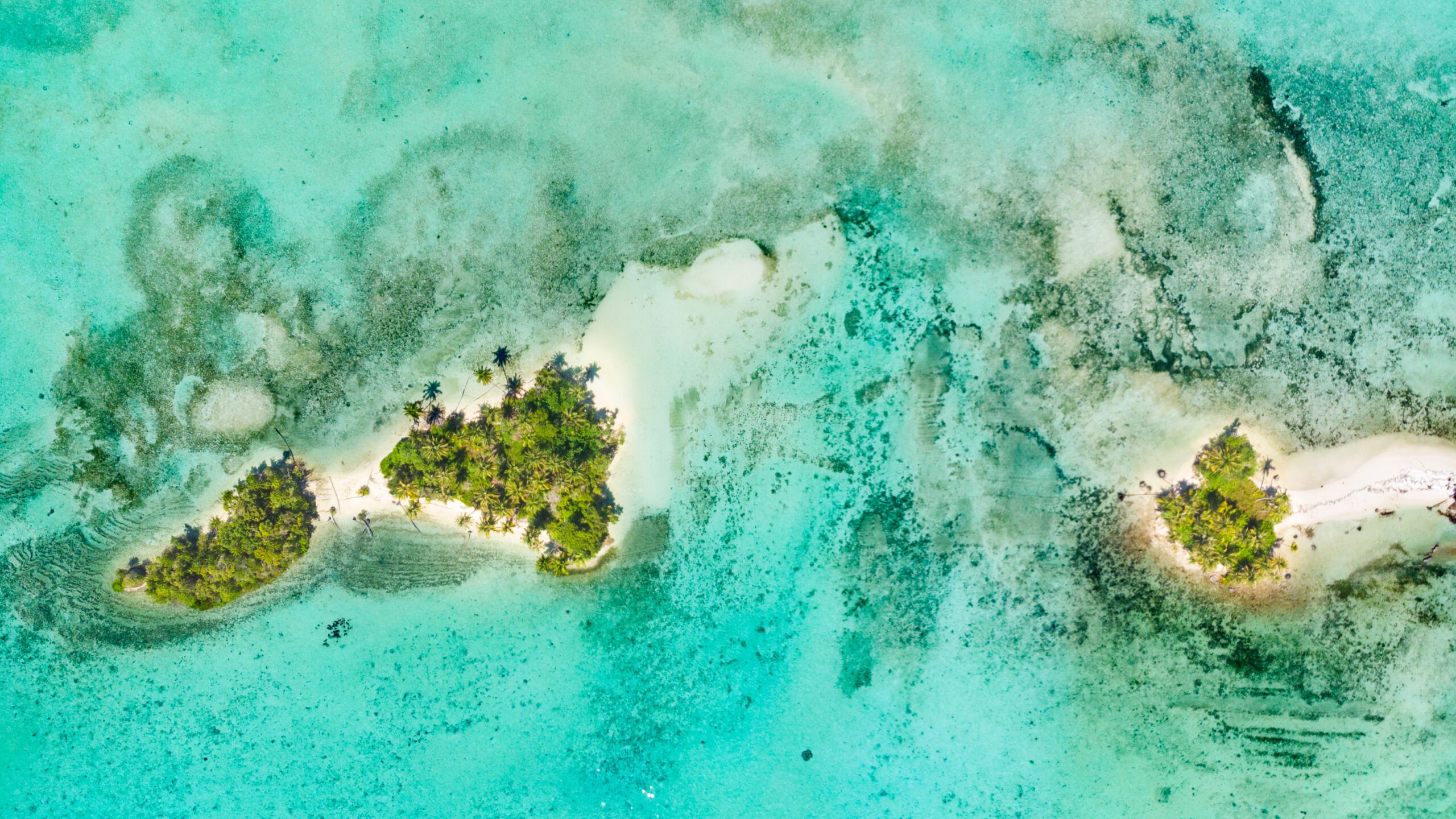 GEO Optimization: farsi citare da ChatGPT, Perplexity e Google AI Overview