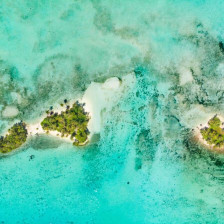 GEO Optimization: farsi citare da ChatGPT, Perplexity e Google AI Overview