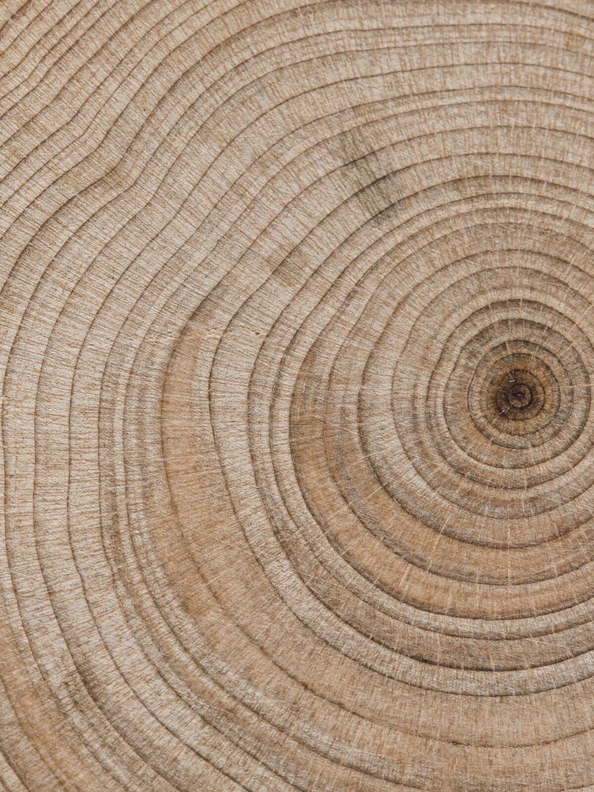 360 anni di storia, un’identità da ricostruire: il rebranding digitale di un’eccellenza artigiana