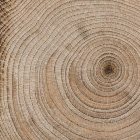 360 anni di storia, un’identità da ricostruire: il rebranding digitale di un’eccellenza artigiana