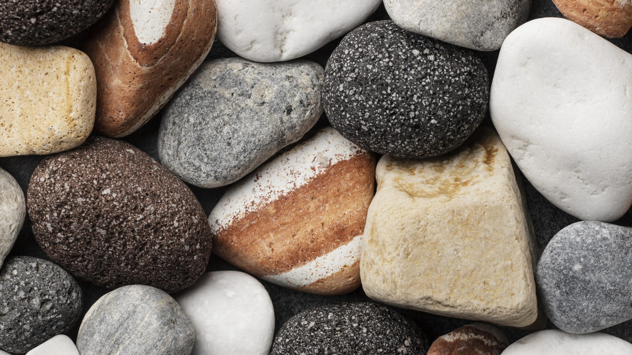 Quando il portale clienti sostituisce il telefono: aree riservate B2B nel manifatturiero