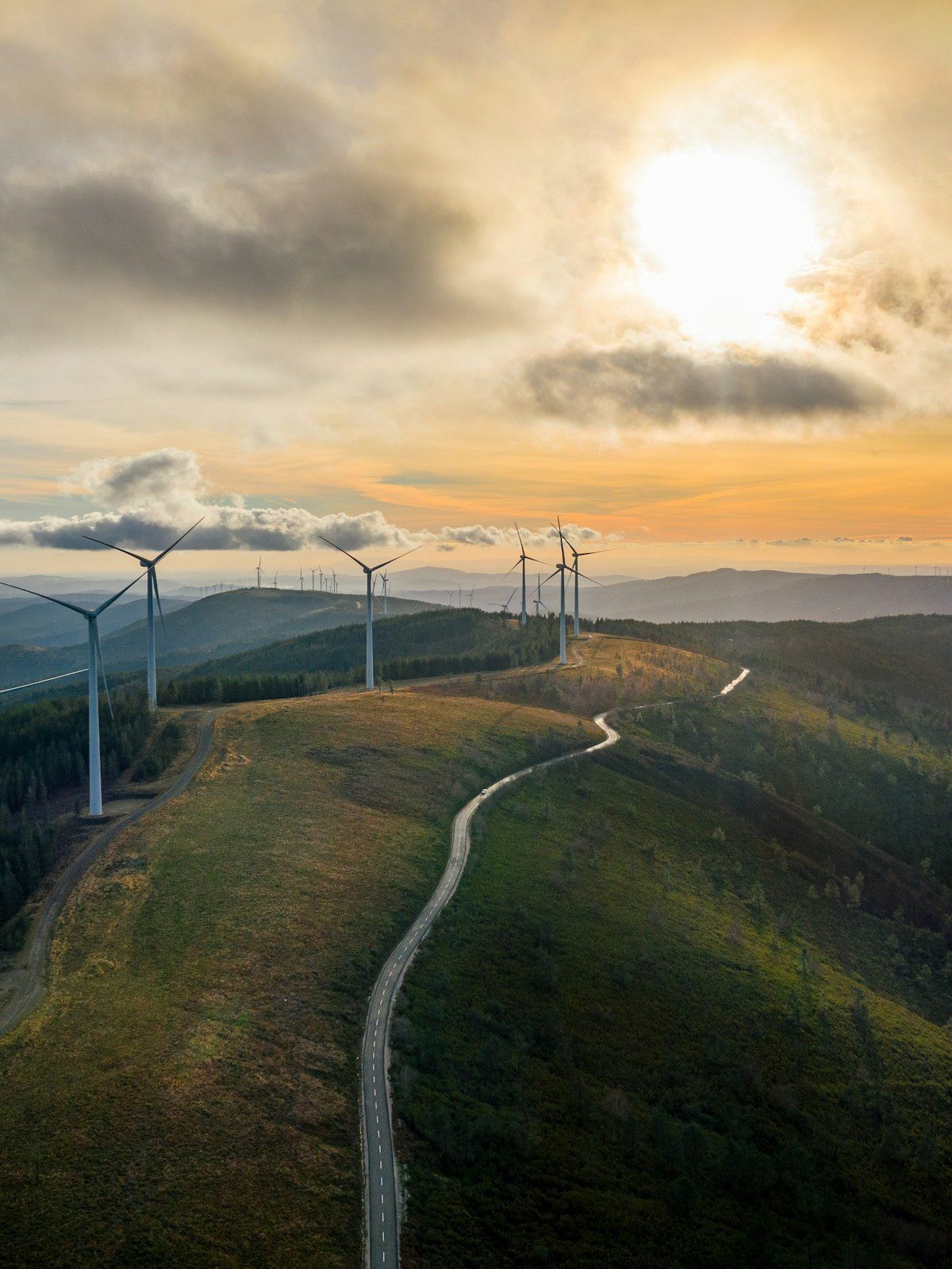 Elettrostudio Plant Supervisor