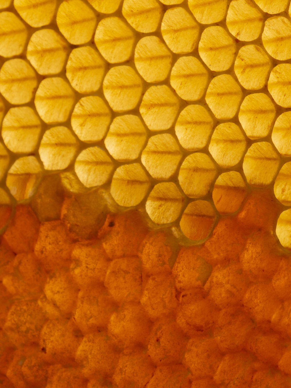 E-commerce per il food d’eccellenza: quando il packaging digitale conta quanto quello fisico