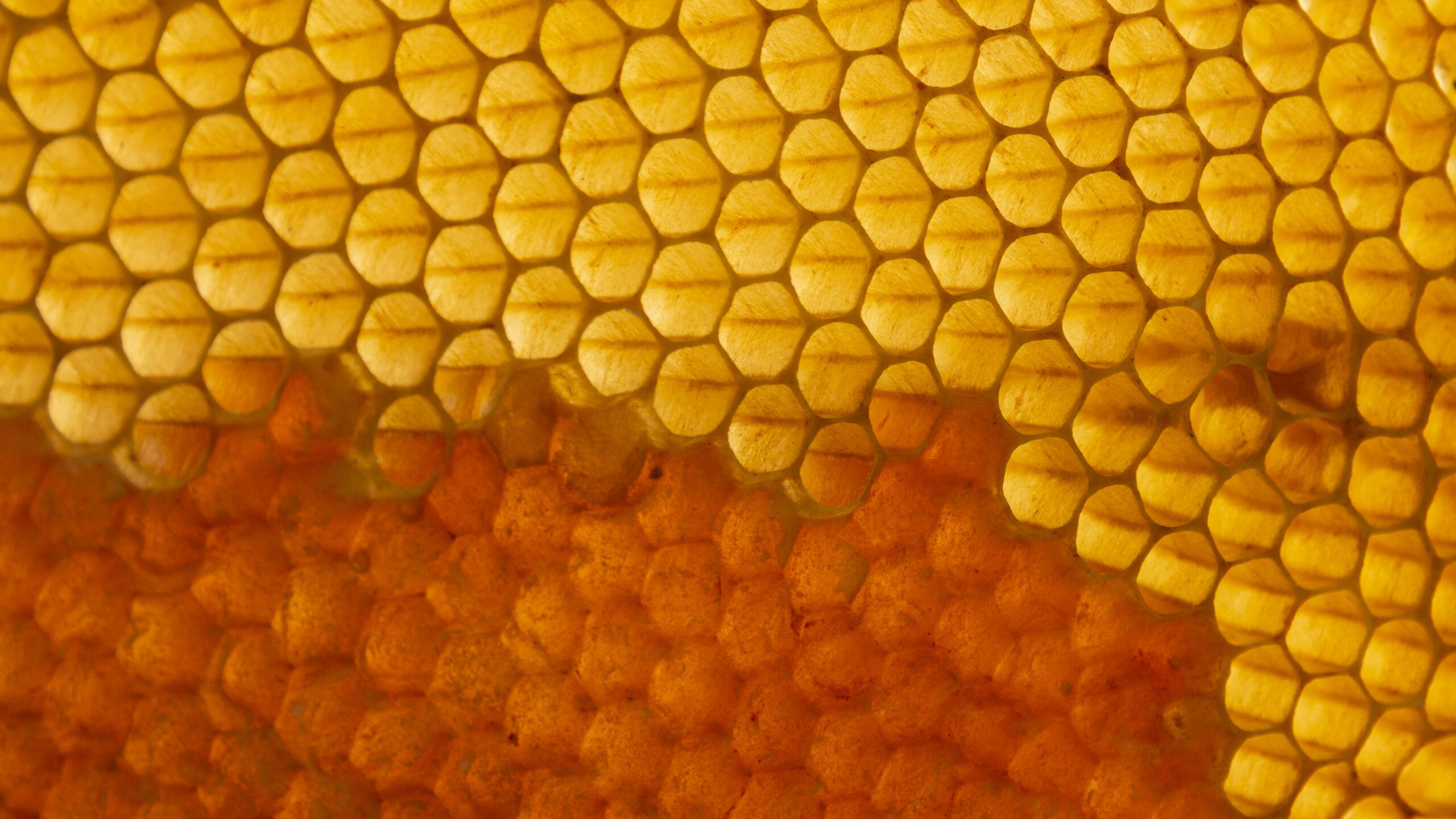 E-commerce per il food d’eccellenza: quando il packaging digitale conta quanto quello fisico