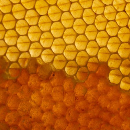 E-commerce per il food d’eccellenza: quando il packaging digitale conta quanto quello fisico