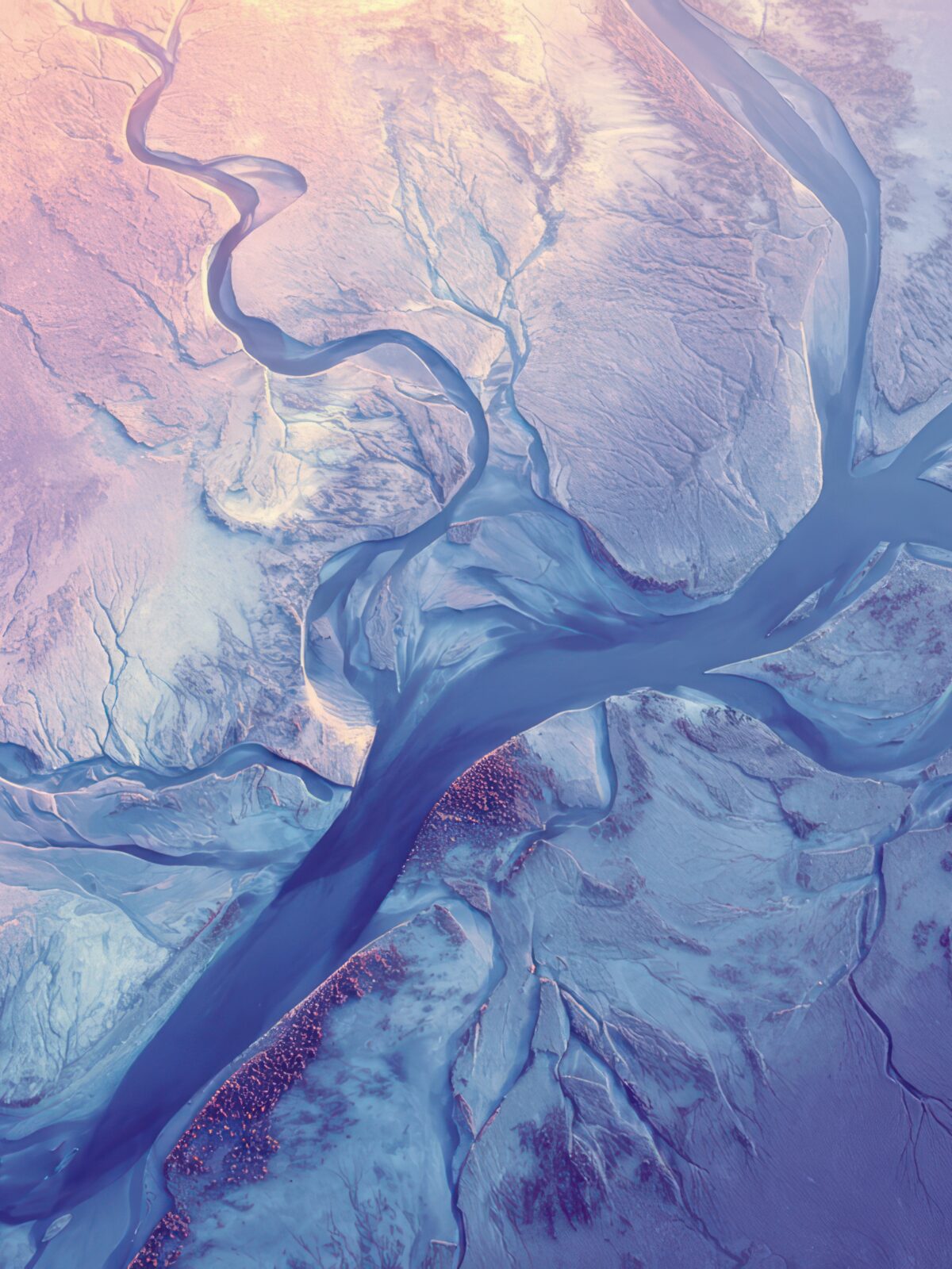 Ecommerce B2B in Italia: architetture, logiche e scelte progettuali