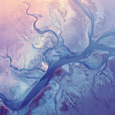 Ecommerce B2B in Italia: architetture, logiche e scelte progettuali