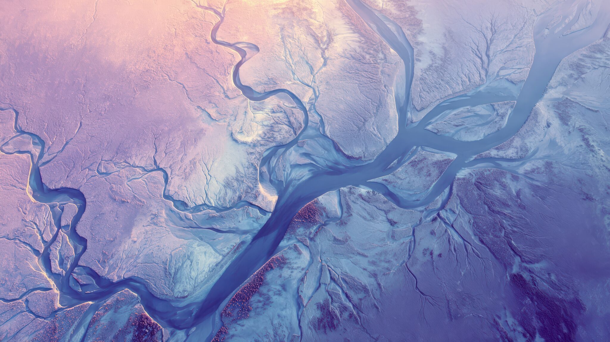 Ecommerce B2B in Italia: architetture, logiche e scelte progettuali