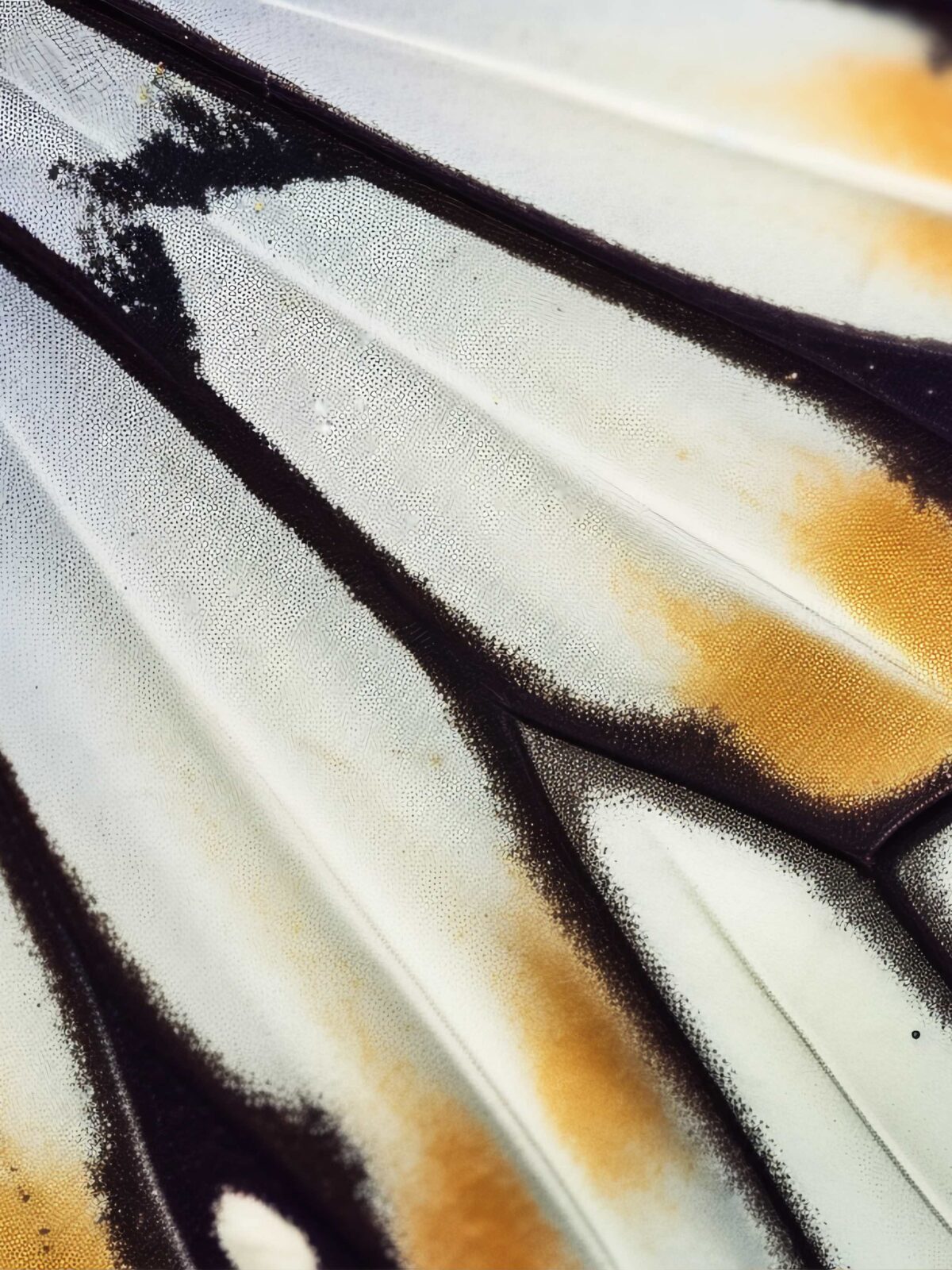 Quello che un visitatore decide nei primi 3 secondi e come il design lo guida