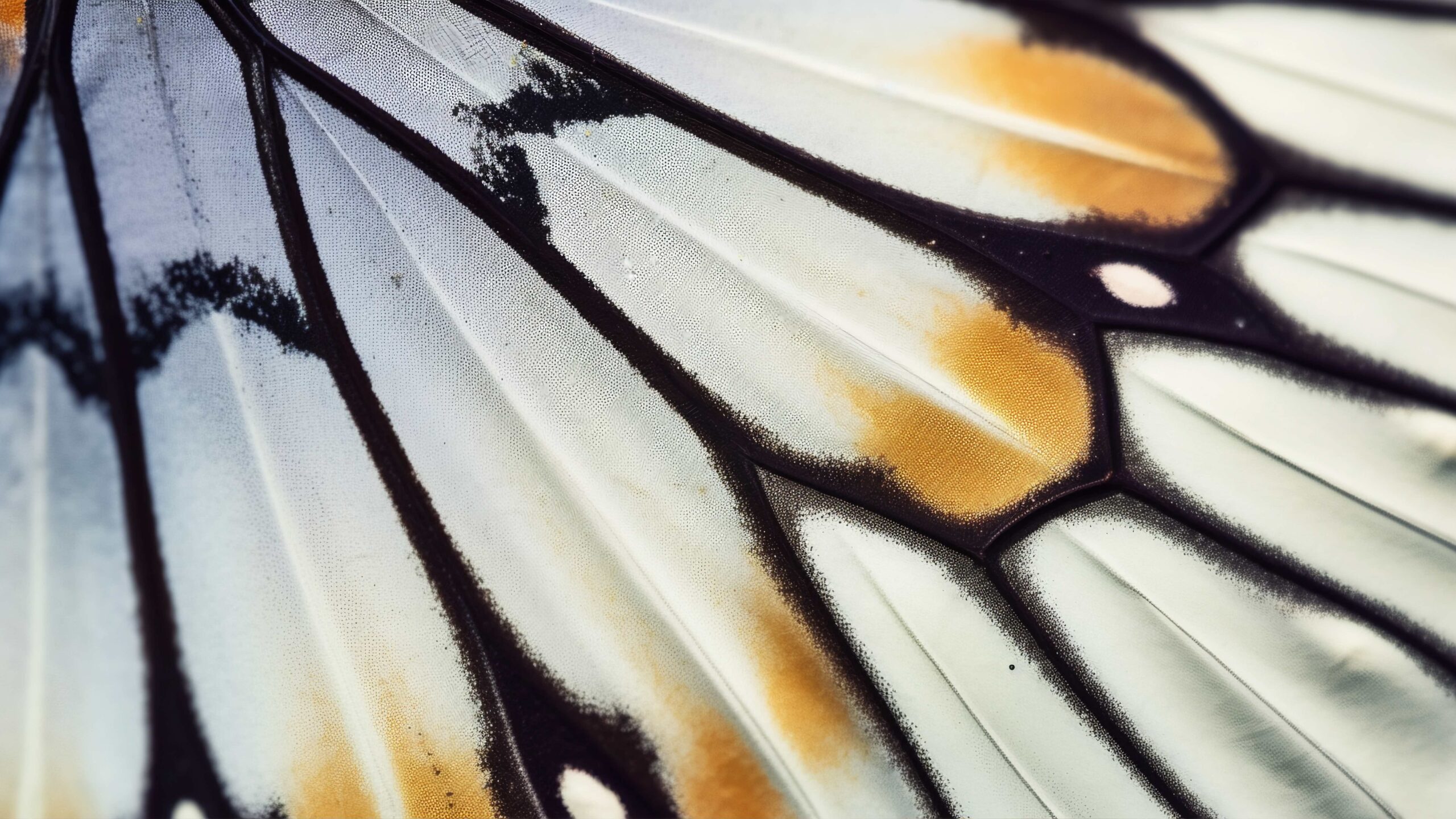 Quello che un visitatore decide nei primi 3 secondi e come il design lo guida