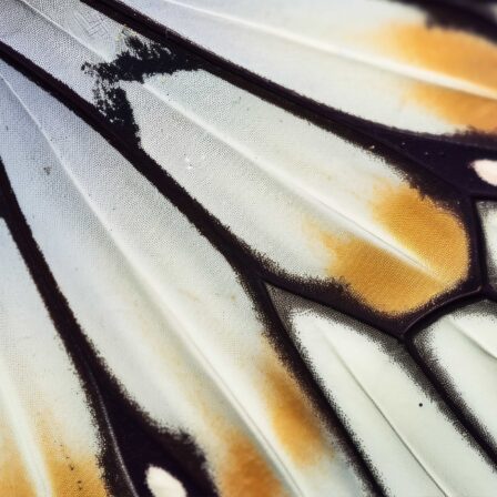 Quello che un visitatore decide nei primi 3 secondi e come il design lo guida