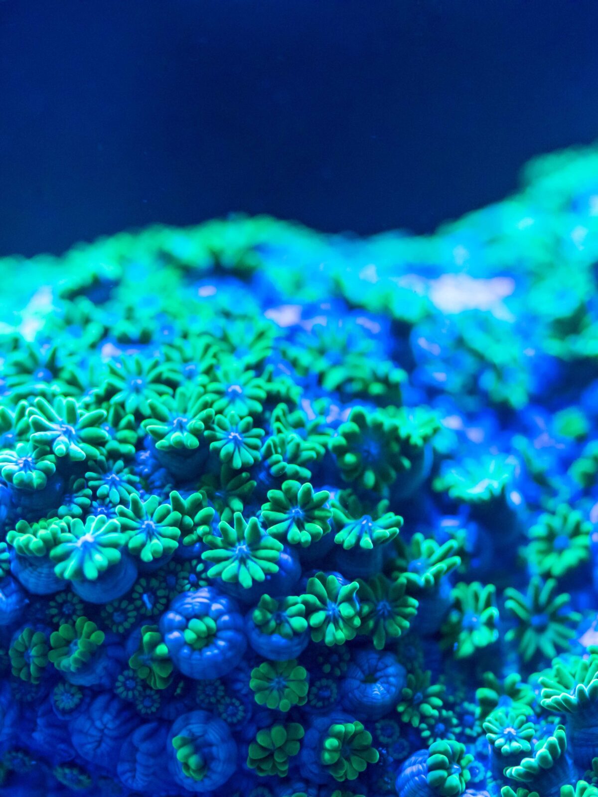 Intelligenza artificiale per PMI: oltre la teoria, dentro i processi