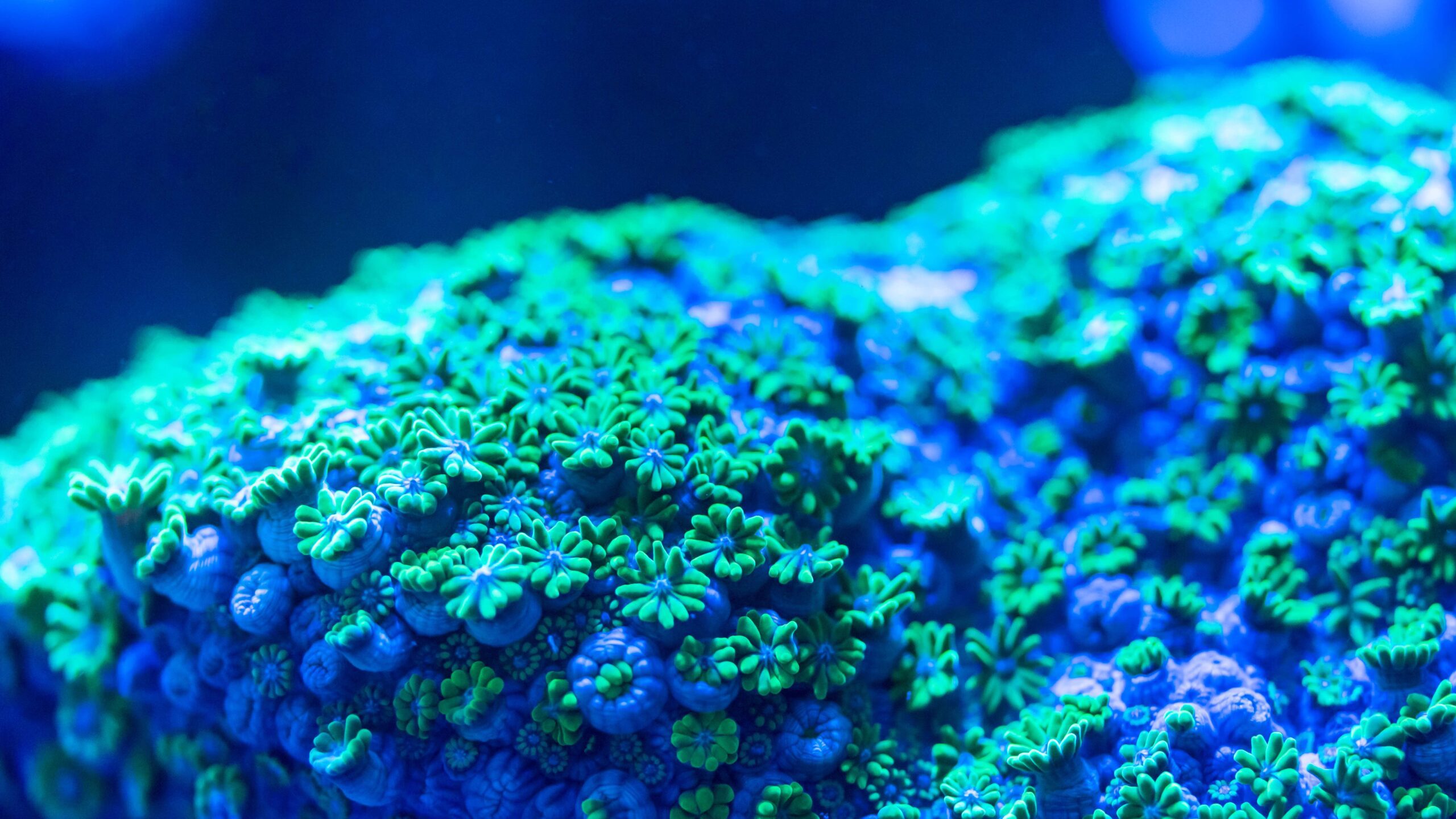 Intelligenza artificiale per PMI: oltre la teoria, dentro i processi