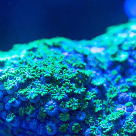 Intelligenza artificiale per PMI: oltre la teoria, dentro i processi