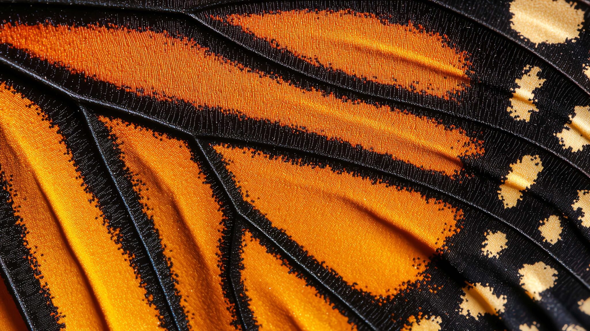 SEO & GEO Optimization