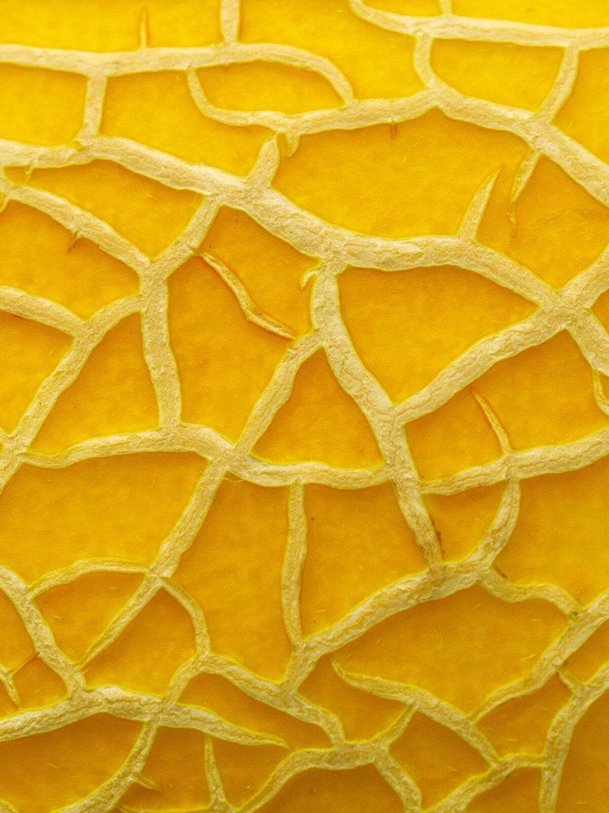 Vendita diretta vs. OTA: come tre istituzioni musicali italiane hanno ripreso il controllo del ticketing