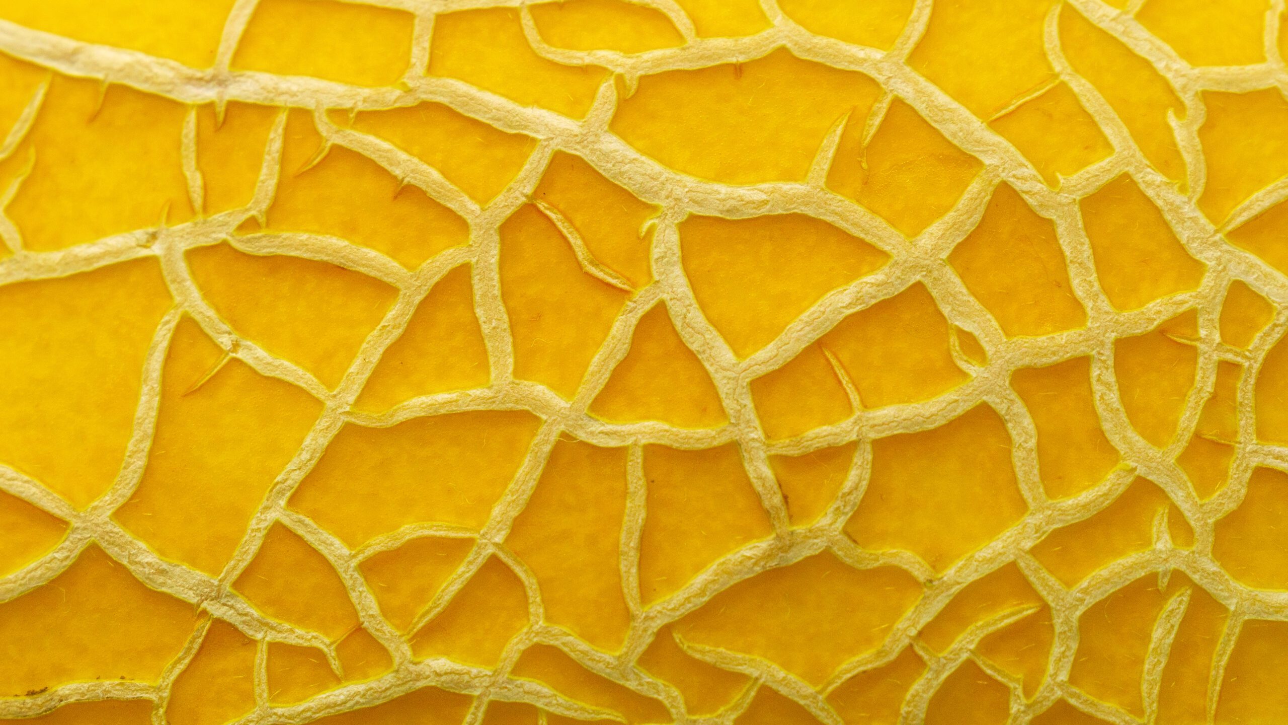 Vendita diretta vs. OTA: come tre istituzioni musicali italiane hanno ripreso il controllo del ticketing