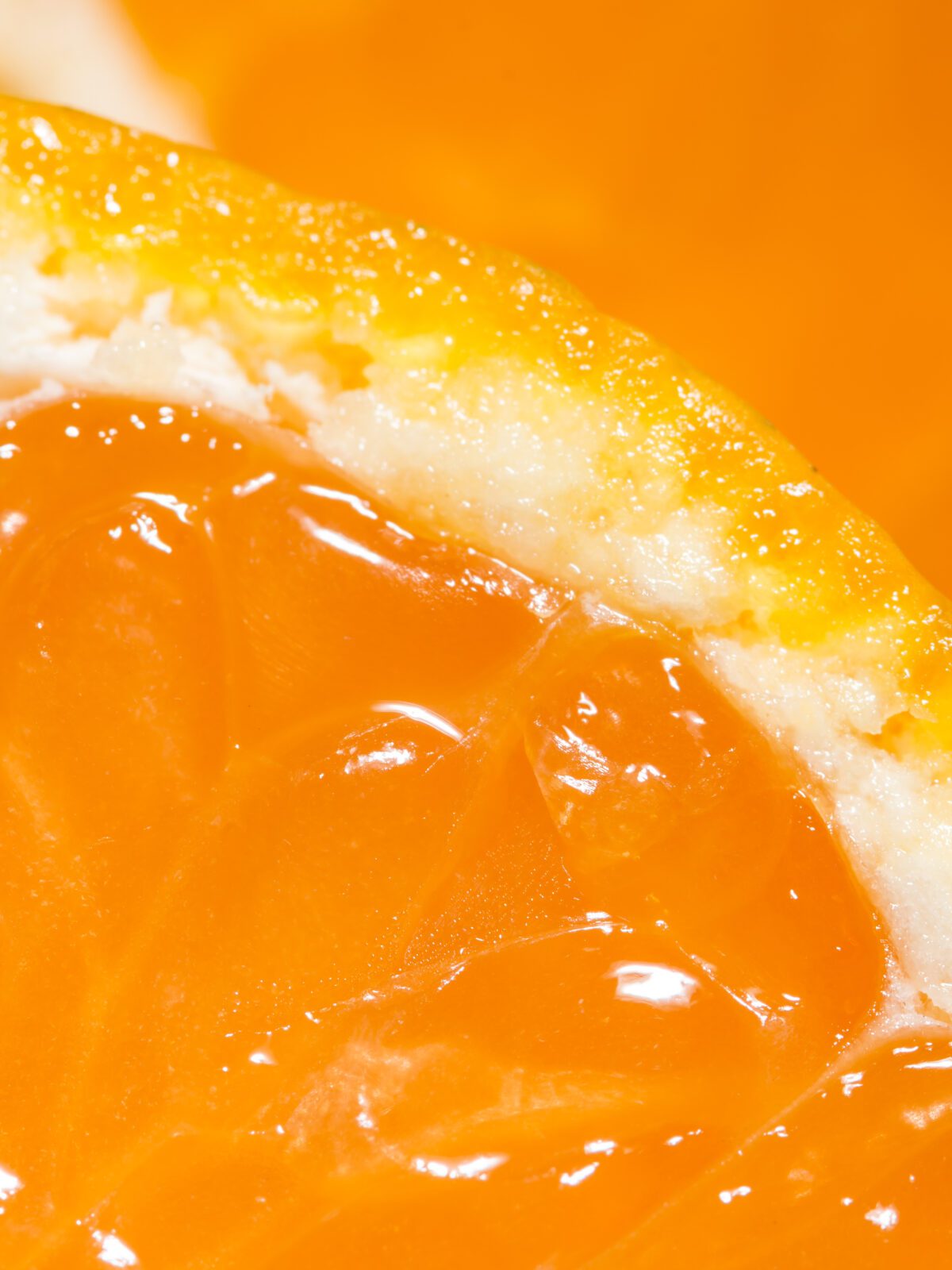 Accessibilità digitale e European Accessibility Act: da obbligo normativo a vantaggio competitivo