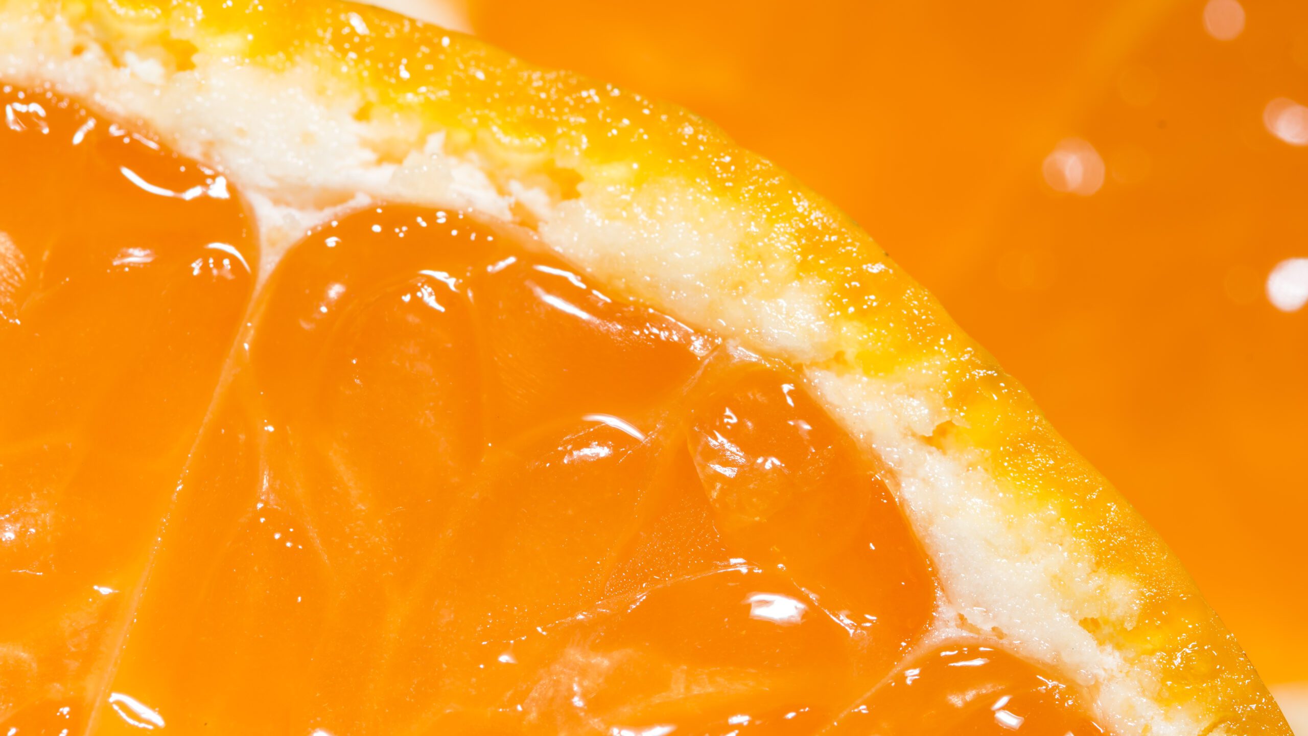 Accessibilità digitale e European Accessibility Act: da obbligo normativo a vantaggio competitivo