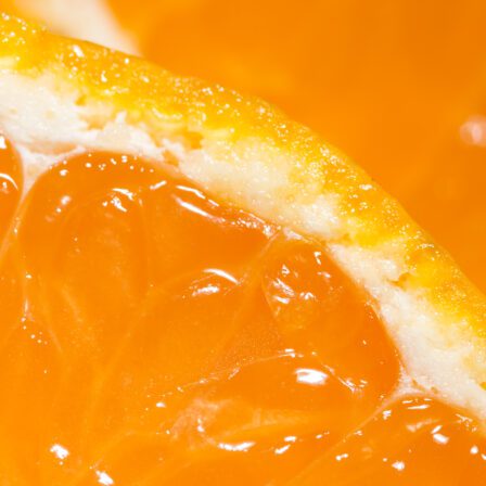 Accessibilità digitale e European Accessibility Act: da obbligo normativo a vantaggio competitivo